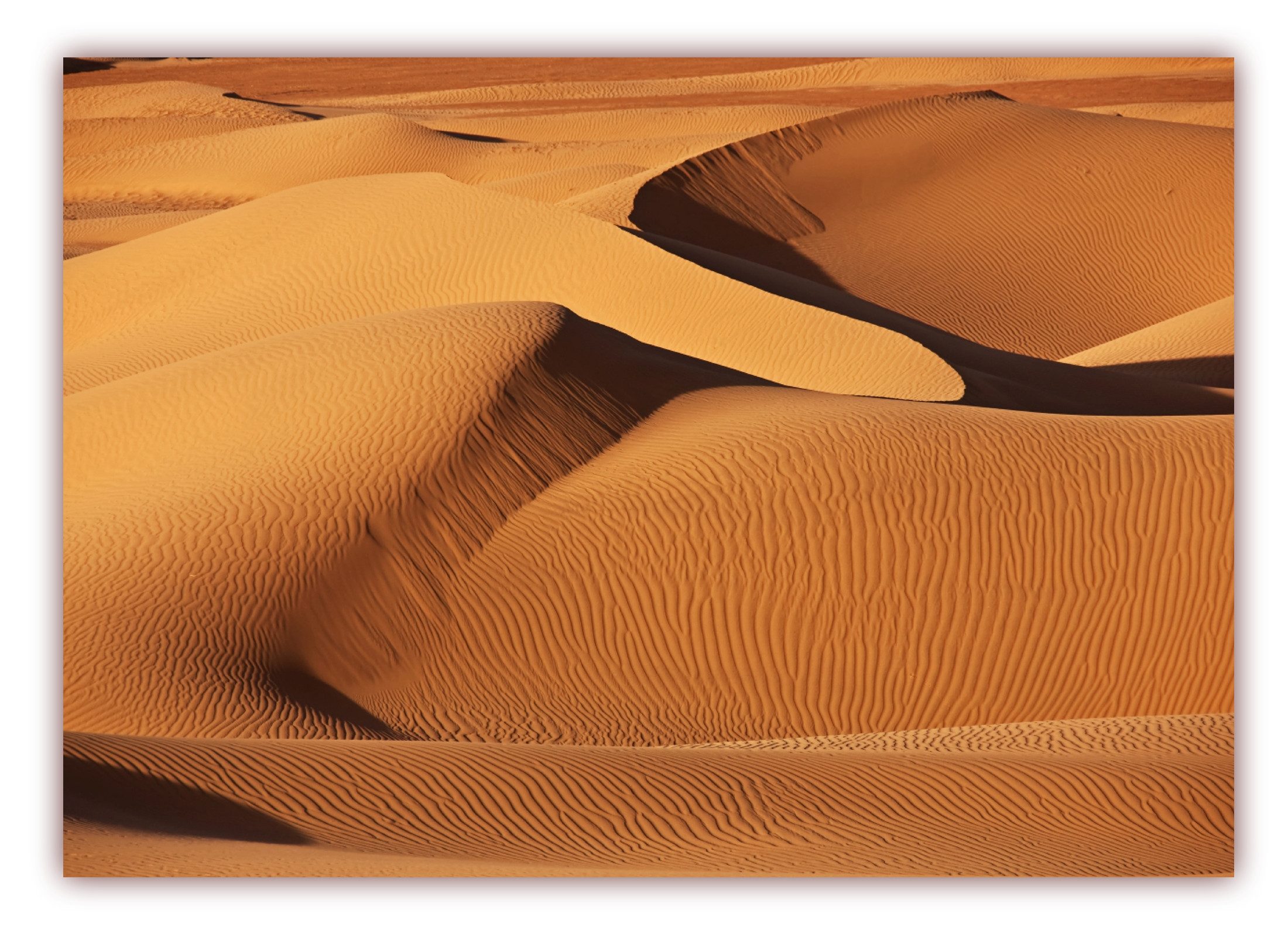 LYSCO Poster XXL Plakat Wüste, Sanddünen, Wüstenlandschaft, Sahara Wüste mit imposanten Dünen und Unmengen windgezeichnetem Sand (F-226) (100 x 70 cm DIN B1), Wandbild, Wandposter