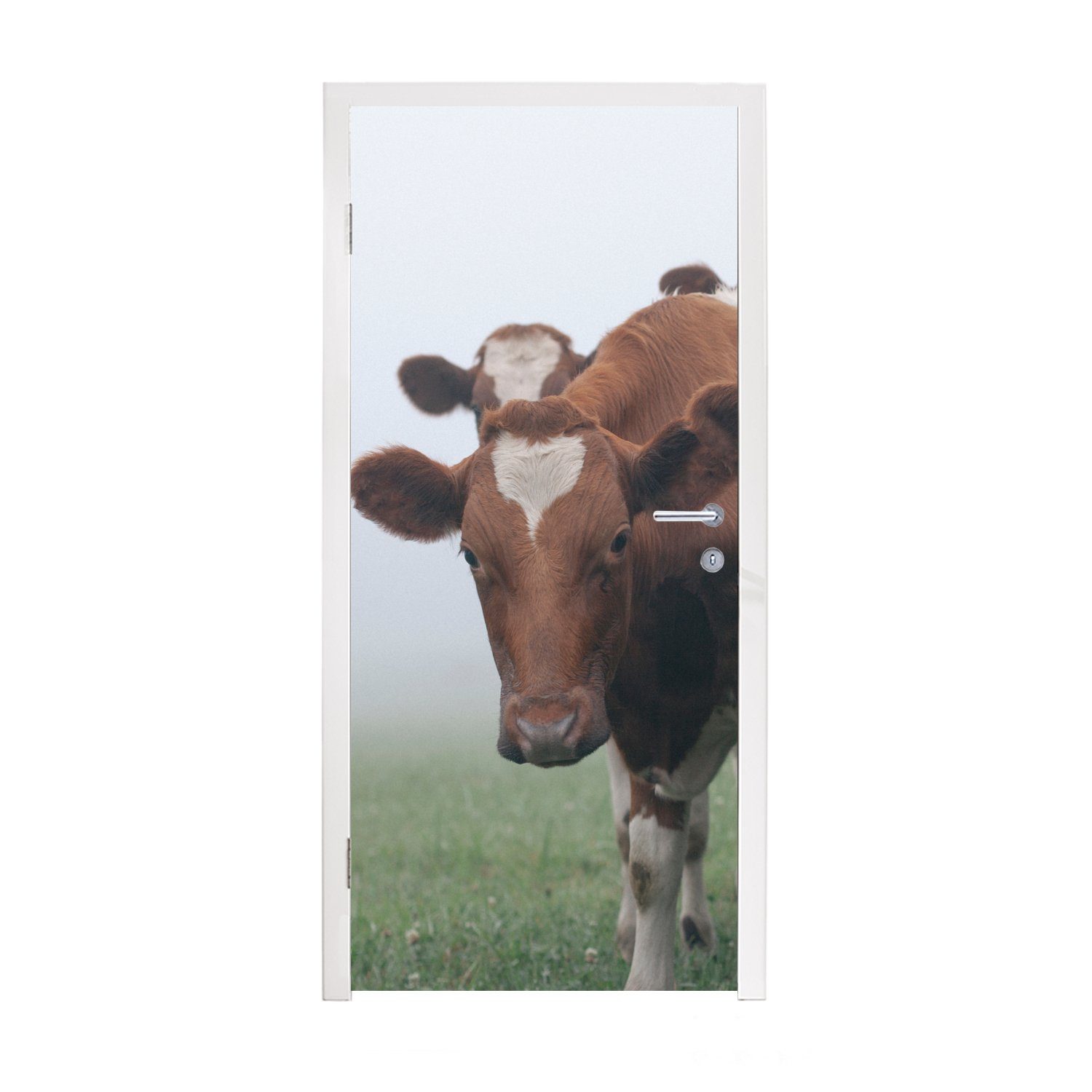 MuchoWow Türtapete Kühe - Braun - Nebel, Matt, bedruckt, (1 St), Fototapete für Tür, Türaufkleber, 75x205 cm