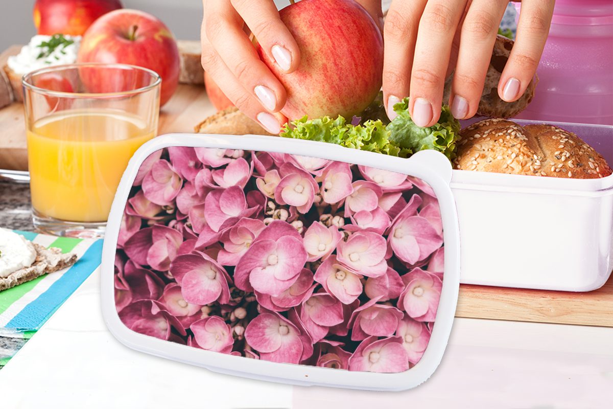 MuchoWow weiß (2-tlg), Brotbox rosa Jungs Lunchbox für Kinder Brotdose, Kunststoff, und Hortensien, Mädchen Erwachsene, und Nahaufnahme für