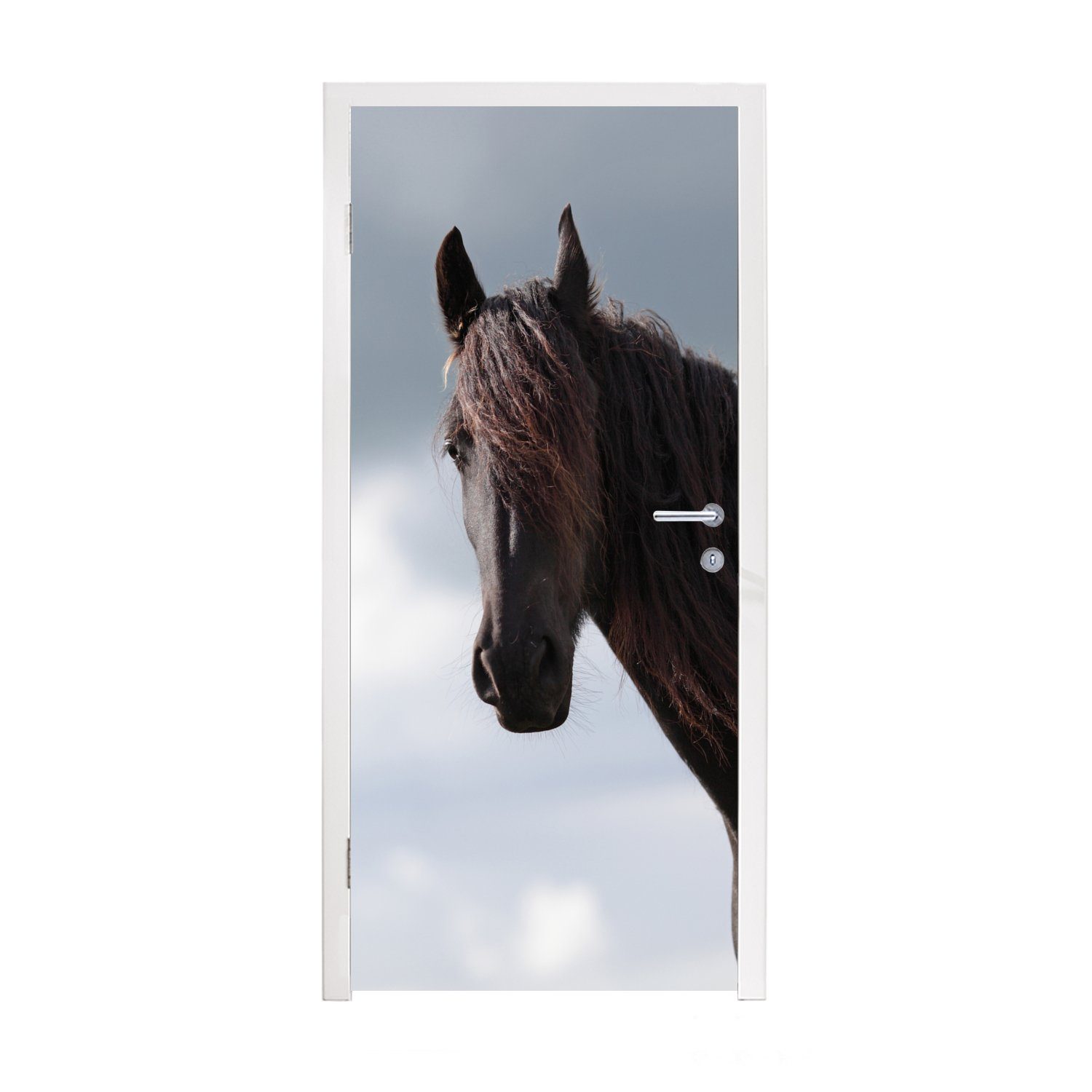 MuchoWow Türtapete Pferde - Himmel - Porträt, Matt, bedruckt, (1 St), Fototapete für Tür, Türaufkleber, 75x205 cm