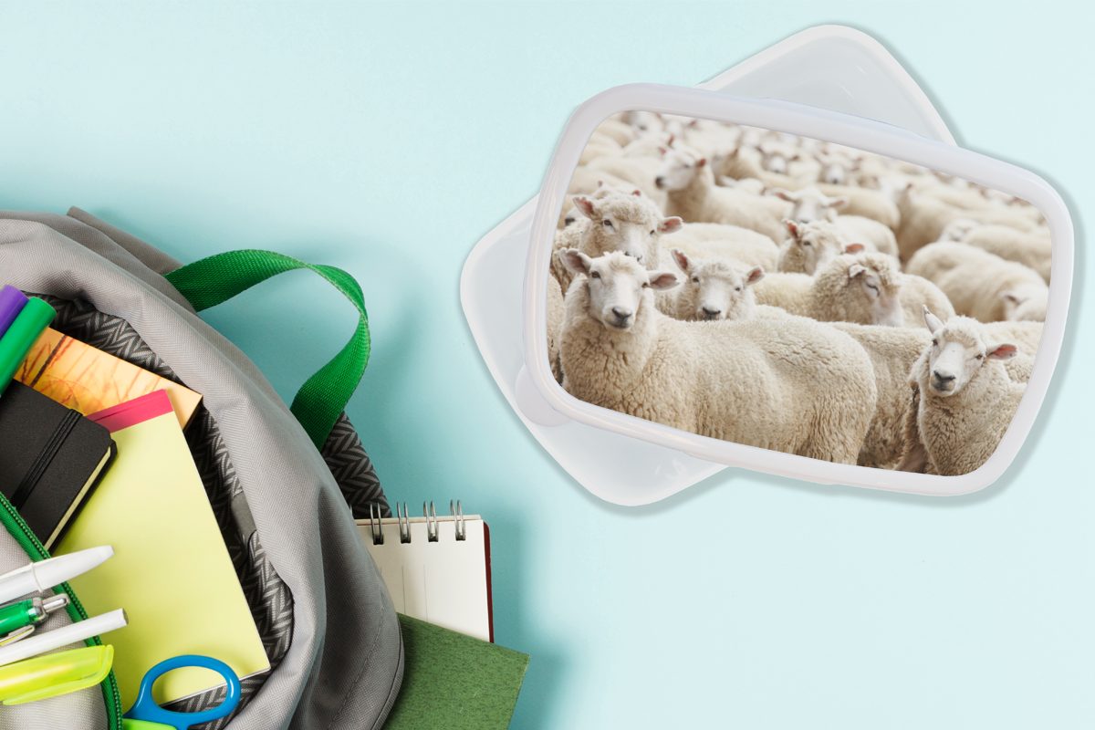 - Schafe Brotbox für Jungs und Brotdose, Weiß, (2-tlg), - Mädchen und Erwachsene, für Kunststoff, Wolle Kinder Lunchbox MuchoWow