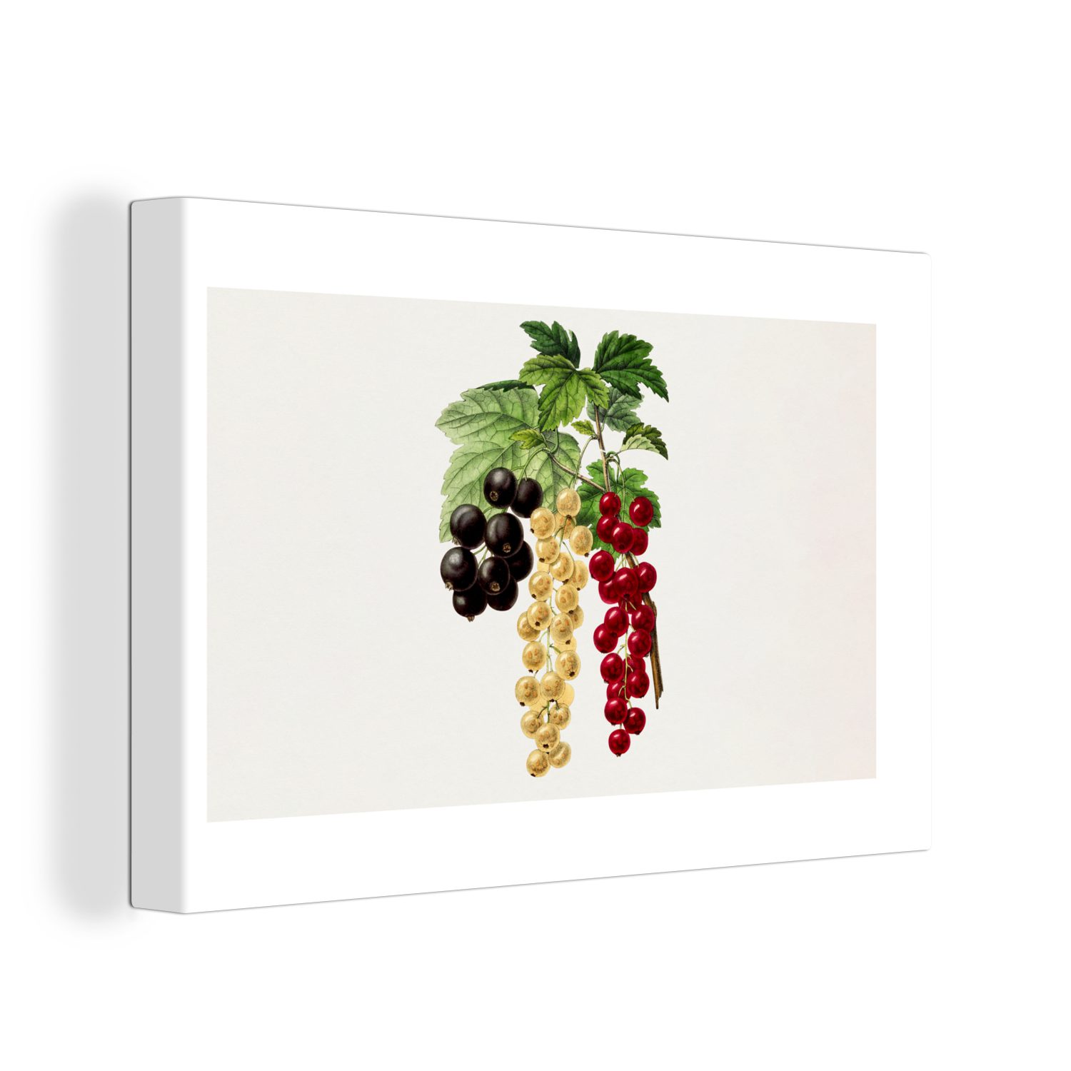 - Wandbild Aufhängefertig, Lebensmittel - 30x20 OneMillionCanvasses® (1 Wanddeko, Obst, St), Leinwandbilder, cm Beeren Leinwandbild