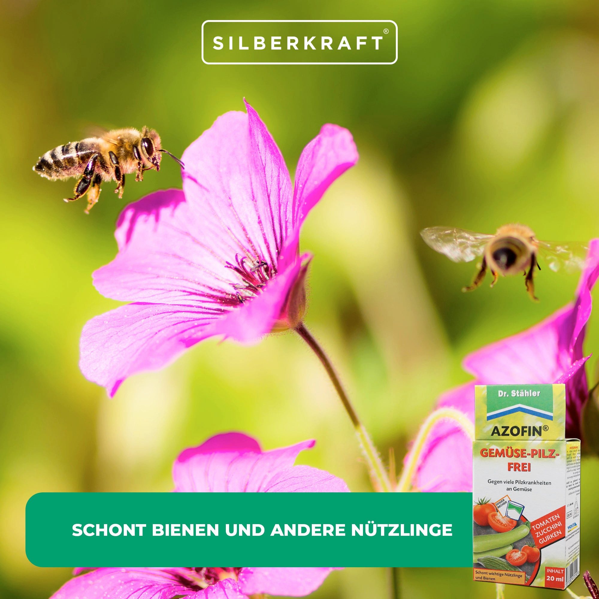 Dr. Stähler Pflanzen-Pilzfrei Azofin® Gemüse-Pilz-Frei, Pflanzenschutzmittel, Hobbygärtner geeignet, 200 ml, gegen Pilzkrankheiten von Gemüsepflanzen, Langanhaltende Wirkung