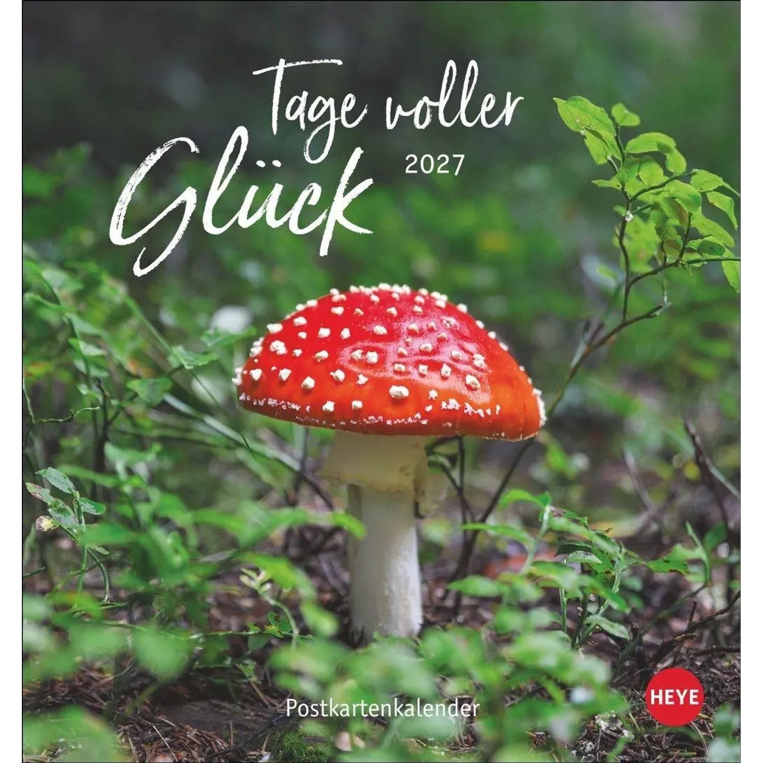 HEYE Wandkalender Tage voller Glück Postkartenkalender 2027