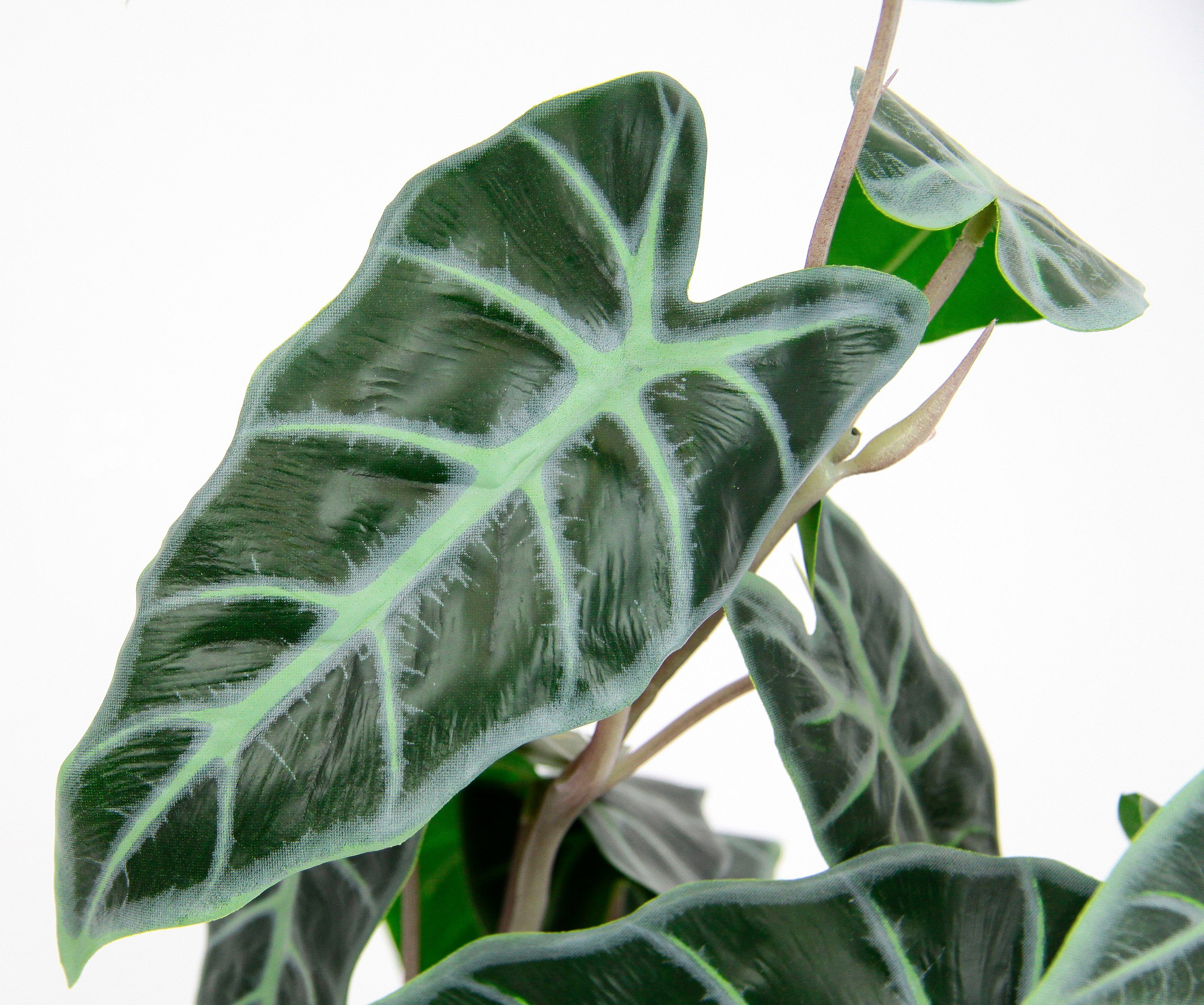 cm, Calathea, 45 ZimmerpflanzeZebrina Alocasia Kunstpflanze Kunst-Pflanze Sanderiana Höhe I.GE.A., Seidenblumen