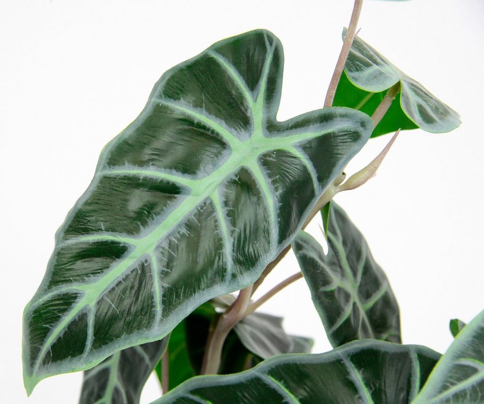 Calathea, 45 cm, Kunst-Pflanze Alocasia I.GE.A., ZimmerpflanzeZebrina Seidenblumen Kunstpflanze Höhe Sanderiana