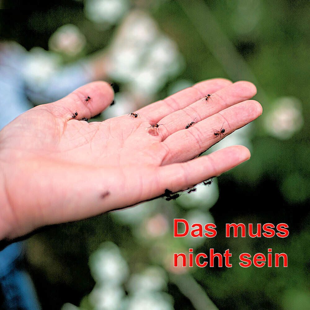 Reinex Insektenschutzplissee AMEISEN PULVER 250g Streumittel günstig online kaufen