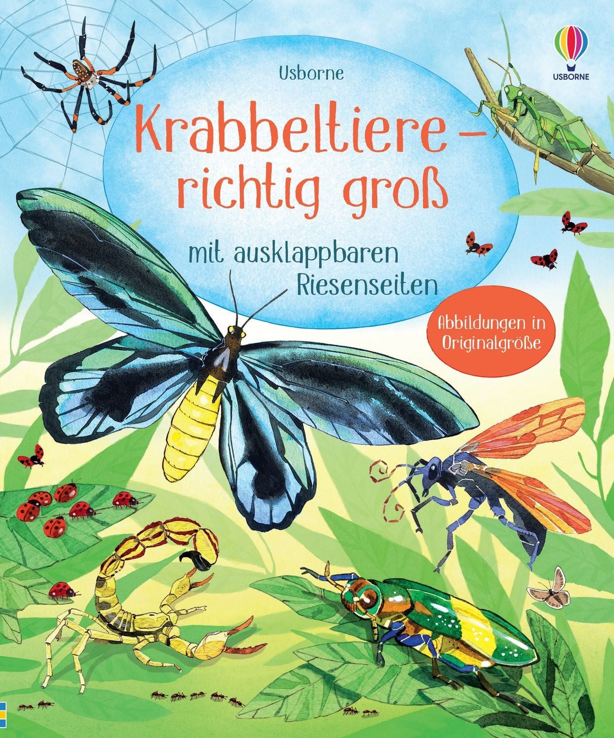 Krabbeltiere - richtig groß / diverse