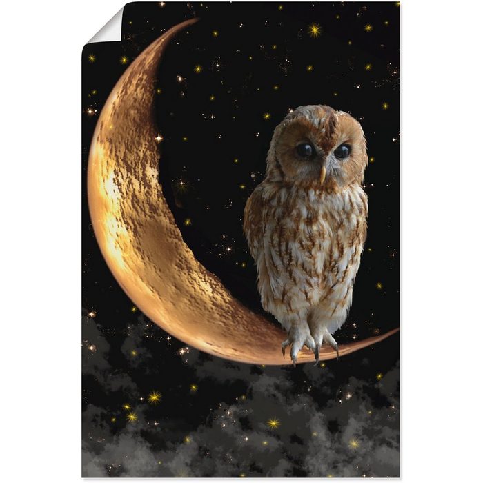 Artland Wandbild Nachteule Vögel (1 St) als Alubild Leinwandbild Wandaufkleber oder Poster in versch. Größen