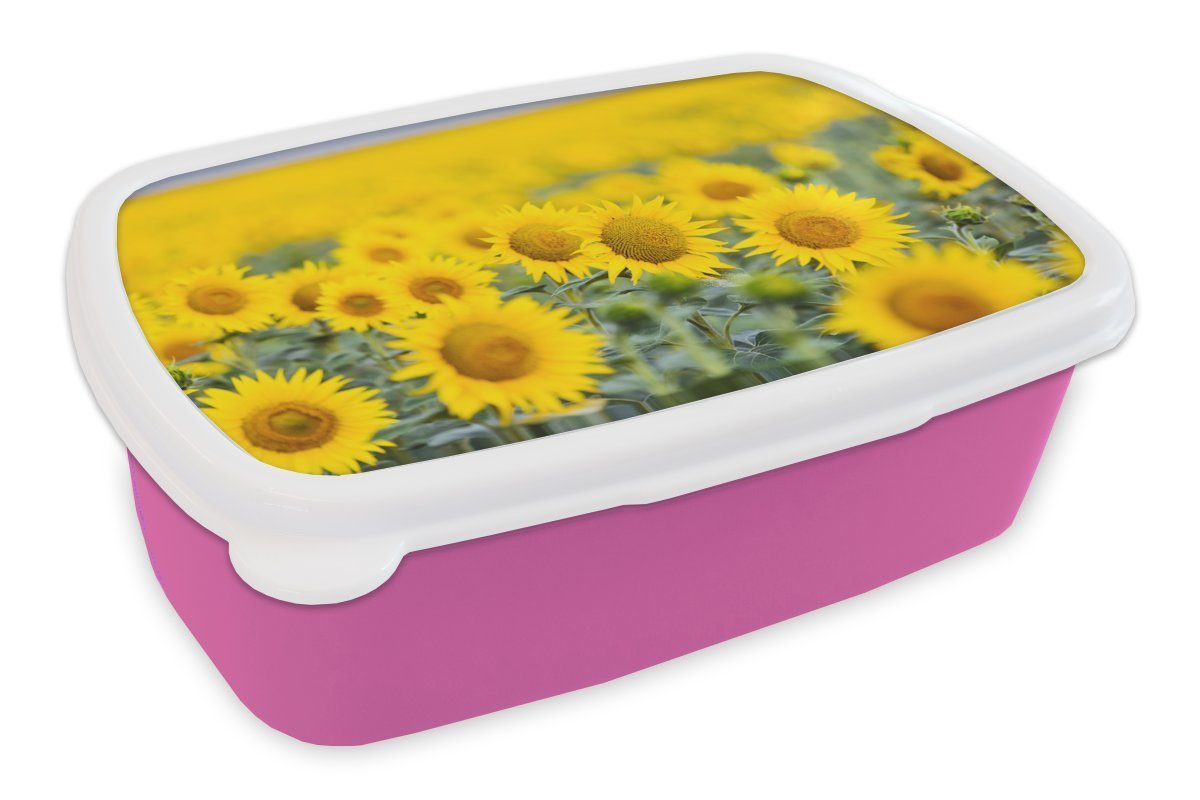 MuchoWow Lunchbox Gelbe Feldsonnenblumen, Kunststoff, (2-tlg), Kunststoff Snackbox, für rosa Erwachsene, Mädchen, Brotbox Kinder, Brotdose