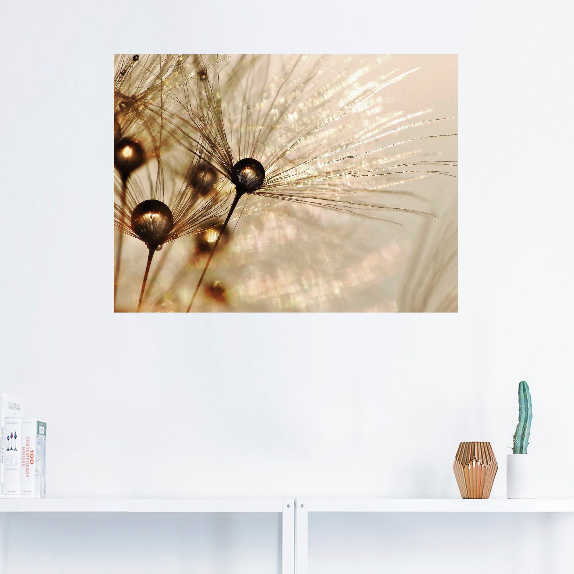 Artland Wandbild Pusteblume Goldener Tropfen, Blumen günstig online kaufen