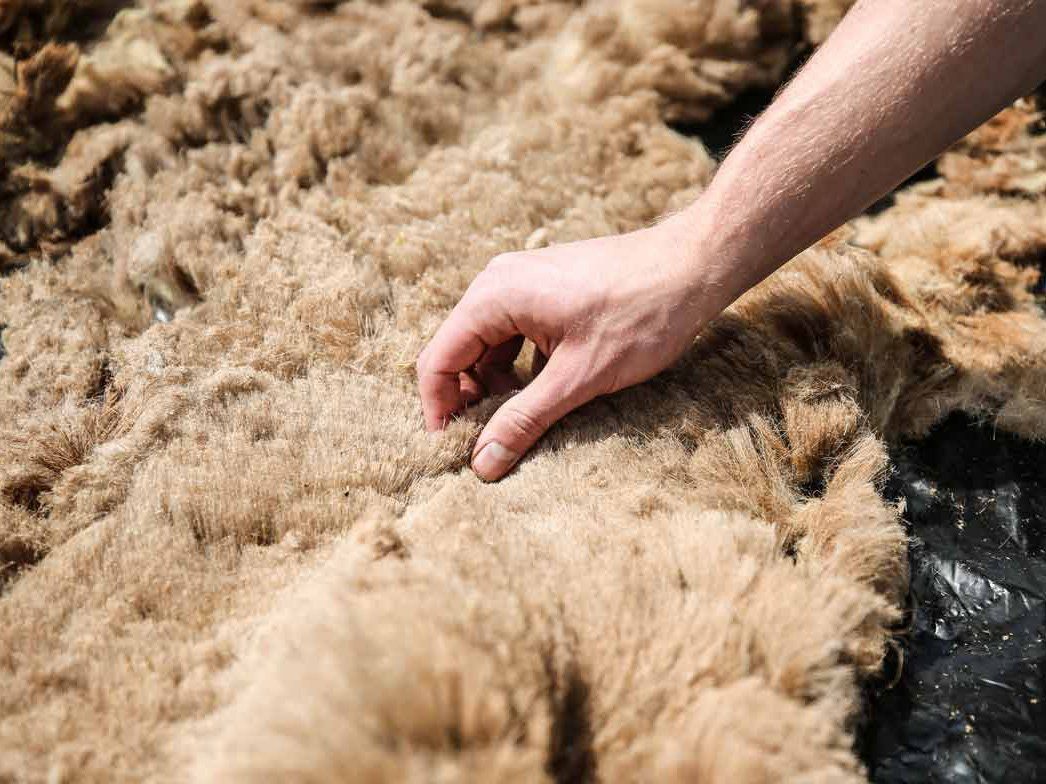 WoolFit Einlegesohlen Bunte Filzeinlegesohlen und haltbar warm dick 5mm Wolle, steingrau aus besonders 100