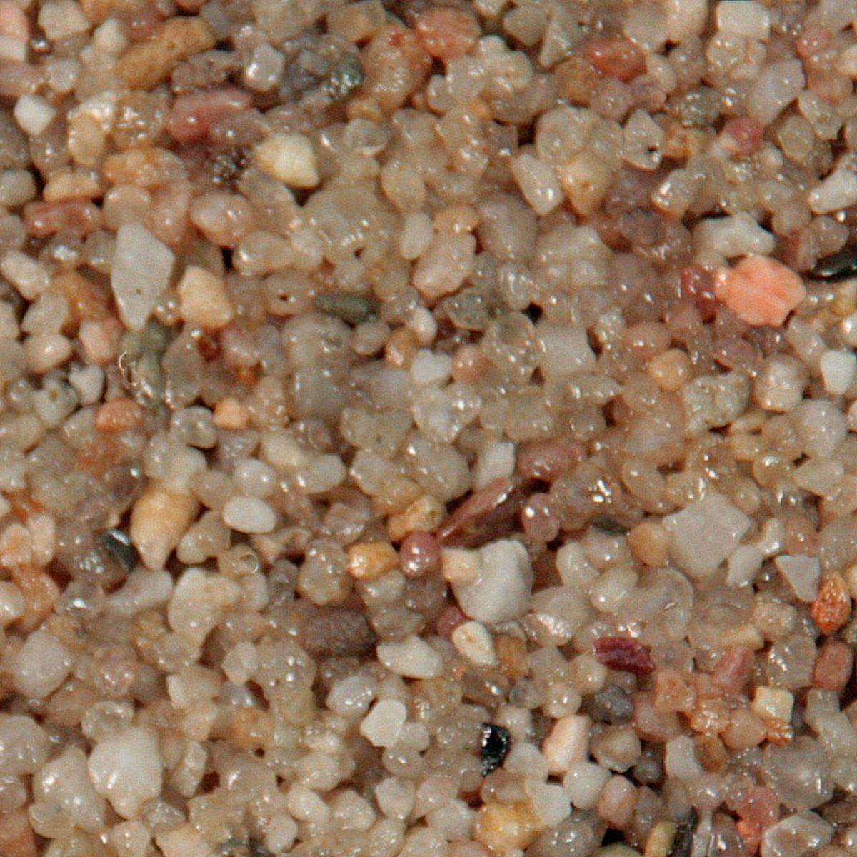 Terralith® Kunstharzputz Buntsteinputz Mosaikputz 2mm -15 kg- BSP24 (Eimer, Verarbeitungsfertig) Dekorationsputz aus Marmor-Granulat bzw. eingefärbter Körnung