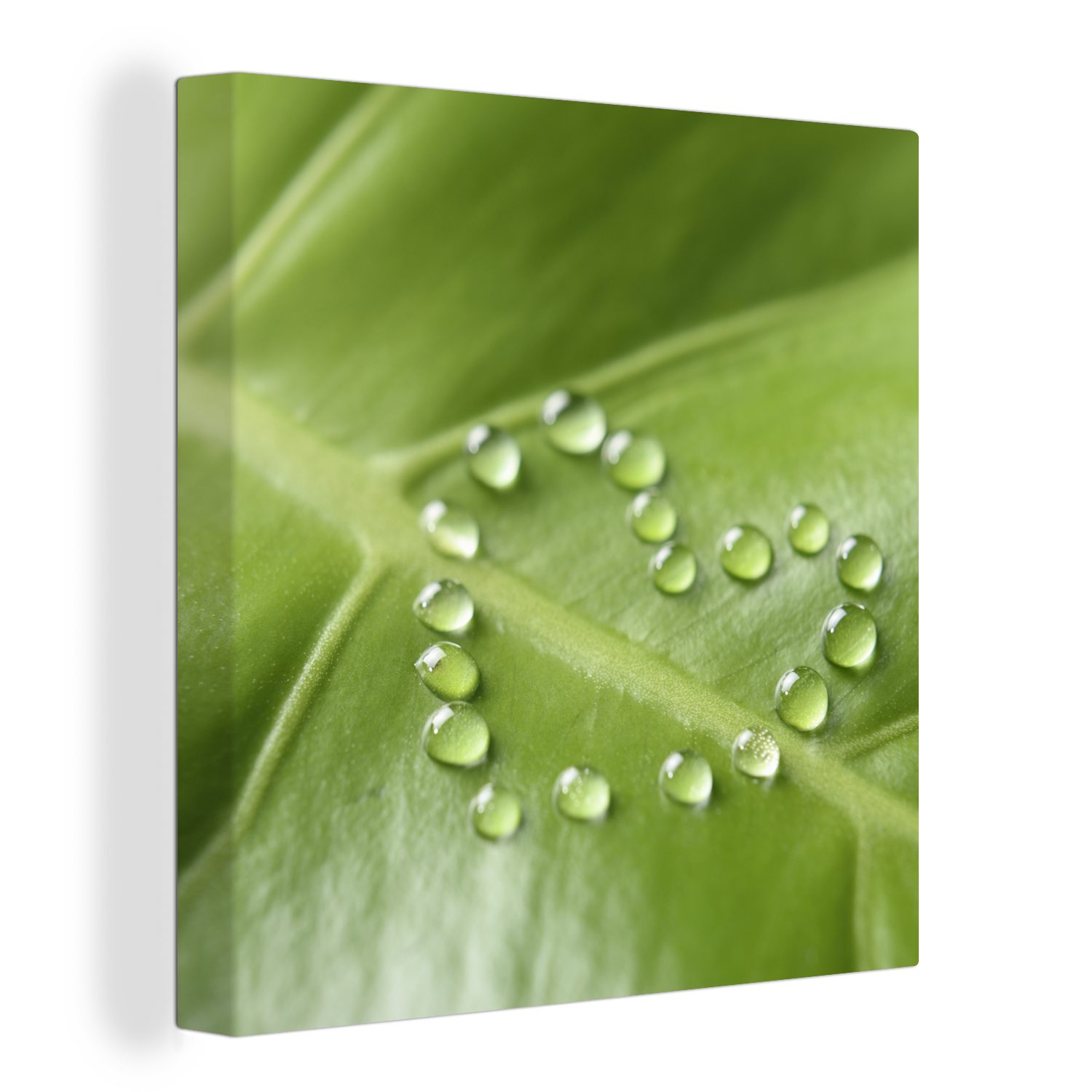 OneMillionCanvasses® Leinwandbild Foto eines botanischen Blattes mit Wassertropfen in Form eines Herzens, (1 St), Leinwand Bilder für Wohnzimmer Schlafzimmer
