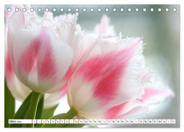 CALVENDO Wandkalender Blumenpracht - Blüten und Sträuße (Tischkalender 2024 DIN A5 quer)