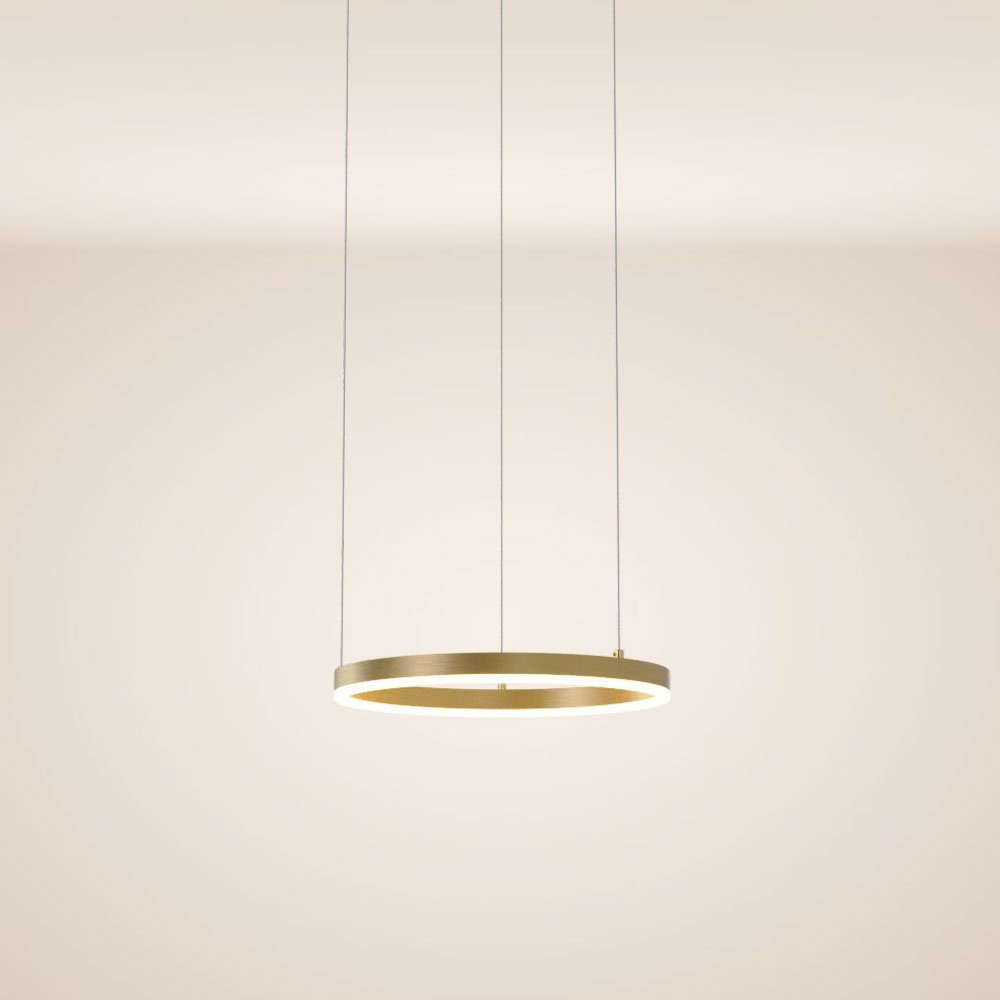 s.luce Pendelleuchte LED Hängelampe Ring 40 günstig online kaufen