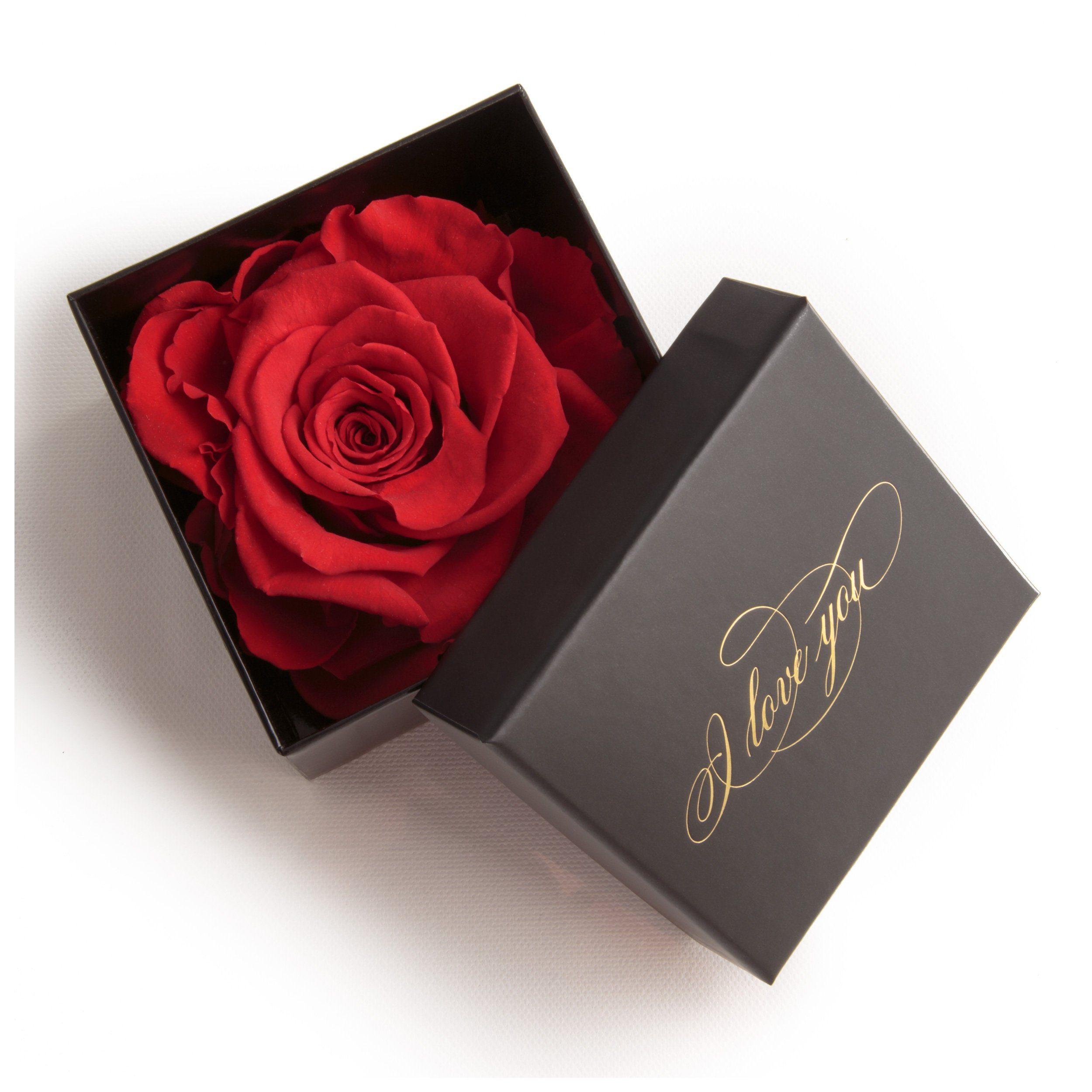 Kunstblume Infinity Rose Box I Love You Geschenk Idee Liebesbeweis Rose, ROSEMARIE SCHULZ Heidelberg, Höhe 6 cm, Echte Rose konserviert Rot