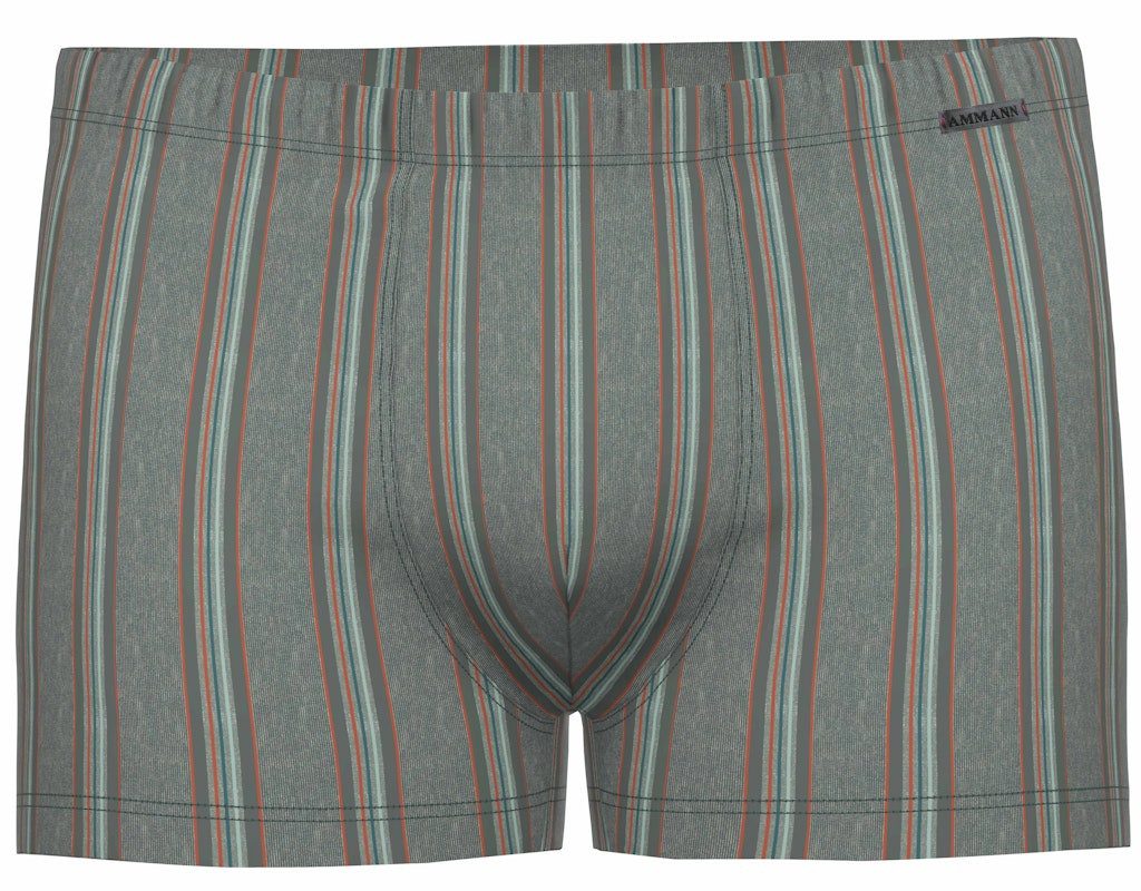 Funktionsunterhose Org Shikoku Retro Short