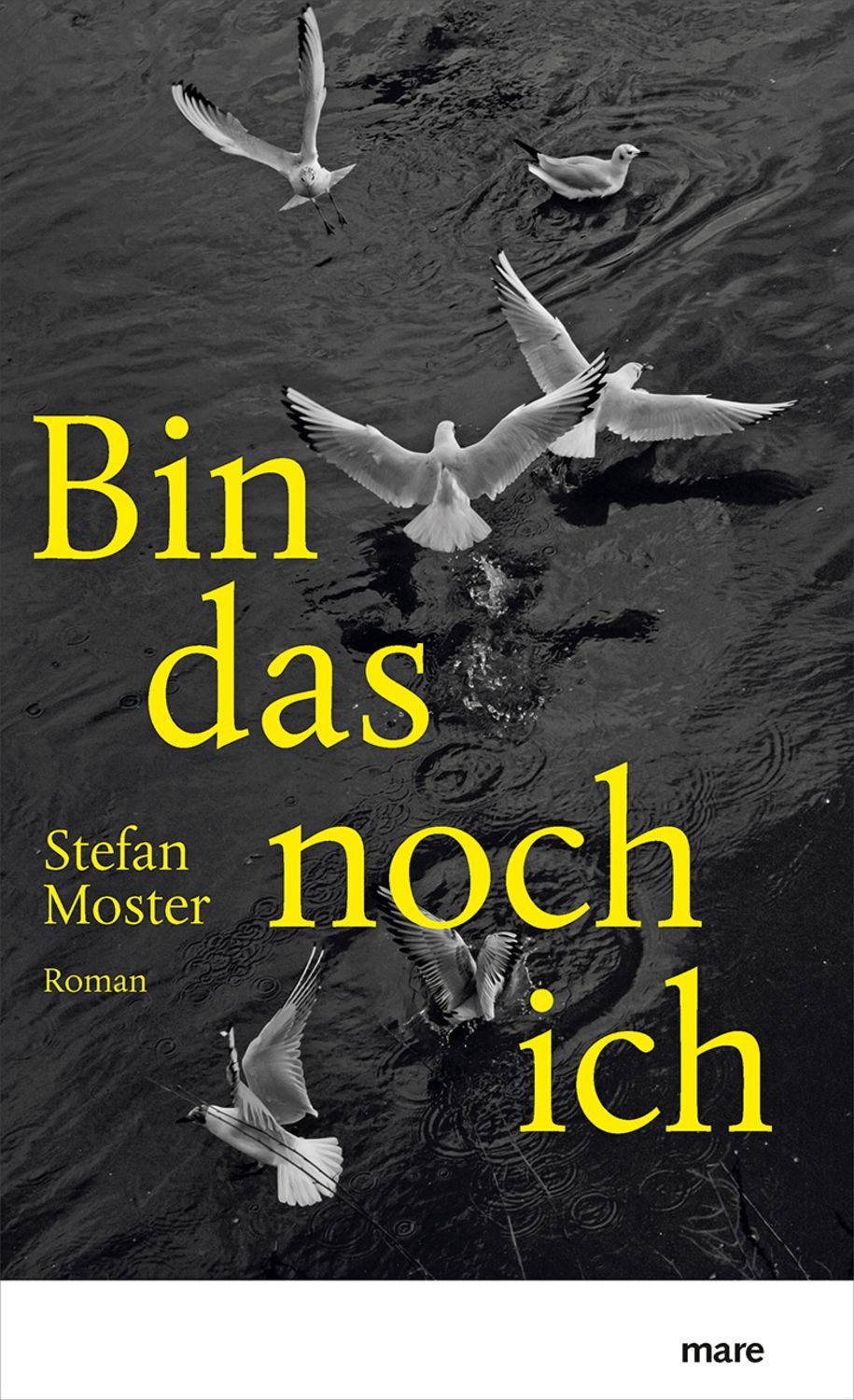 Bin das noch ich / Stefan Moster