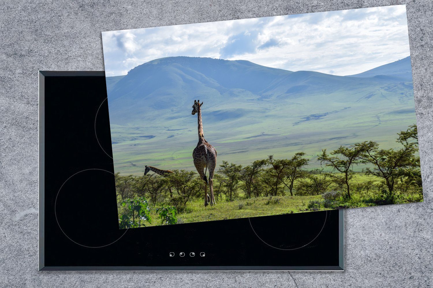cm, MuchoWow Vinyl, 81x52 Ceranfeldabdeckung die Herdblende-/Abdeckplatte tlg), für Ngorongoro-Krater, Giraffen (1 zwischen Induktionskochfeld Schutz im küche, Bäumen den