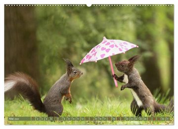 CALVENDO Wandkalender Eichhörnchen - Kleine Fotostars (Premium, hochwertiger DIN A2 Wandkalender 2023, Kunstdruck in Hochglanz)