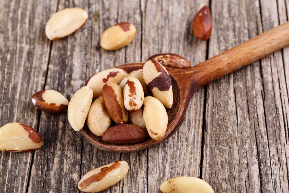 1001 Frucht Nüsse Paranusskerne aus Bolivien - Limitierte Qualität -
