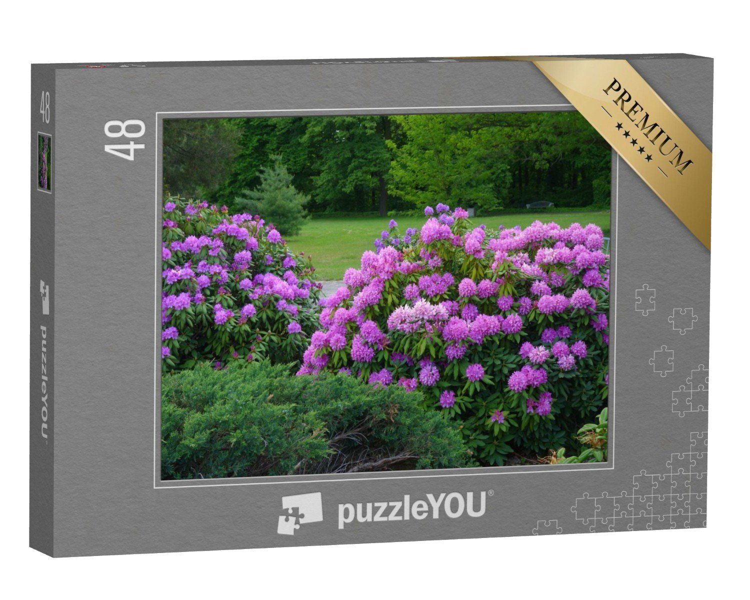 puzzleYOU Puzzle Rhododendron, schön blühende Azalee, 48 Puzzleteile, puzzleYOU-Kollektionen Pflanzen, Blumen & Pflanzen