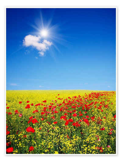 Posterlounge Poster Editors Choice, Sonnige Landschaft mit Feldblumen, Fotografie