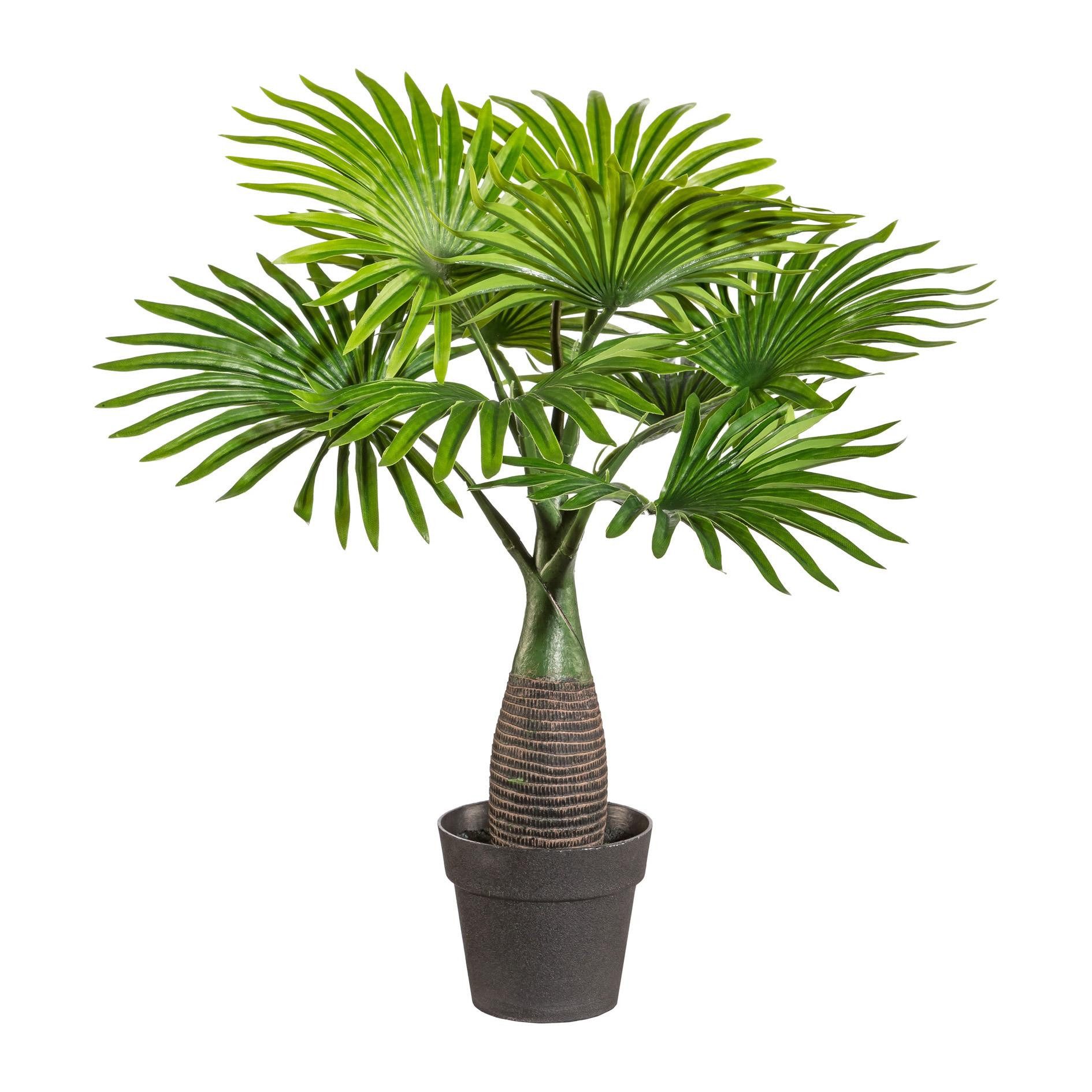 Gestecke, Gasper, Höhe 45 cm günstig online kaufen