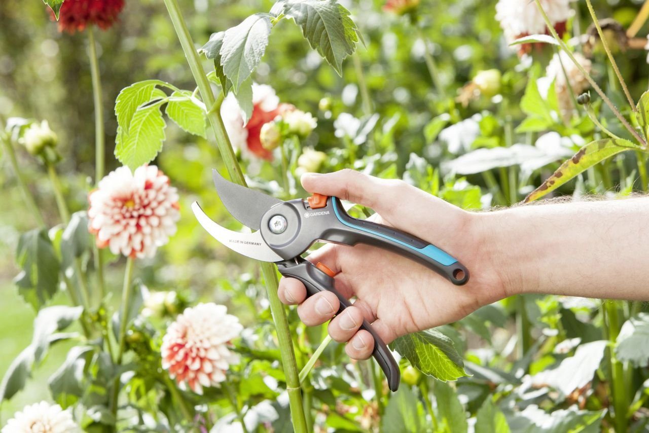Gardena Gartenschere B/M günstig online kaufen