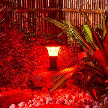 Arnusa LED Gartenleuchte Smarte Solarleuchte helle Solarlampe mit APP RGB Gartenlampe, Farbsteuerung, LED fest integriert, Farbwechsler, Weiß, Warmweiß, Kaltweiß, Dimmbar, Farbwechsel 360lm