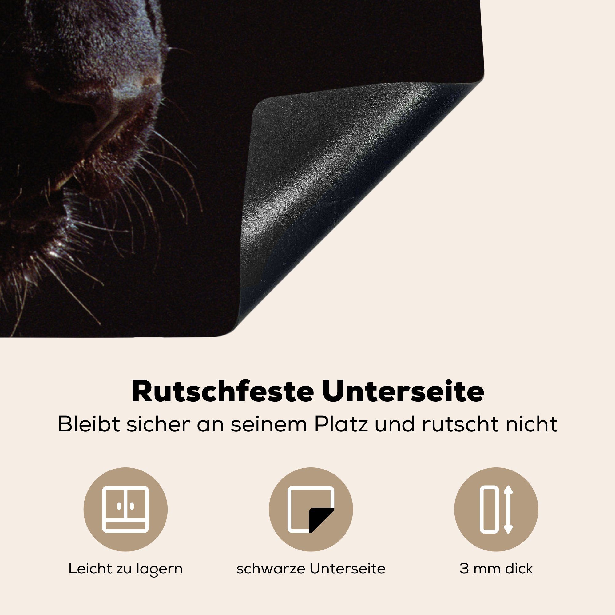 MuchoWow Herdblende-/Abdeckplatte Schwarzer Panther (1 Schutz Ceranfeldabdeckung Hintergrund, schwarzem küche, auf Vinyl, die für cm, Induktionskochfeld 81x52 tlg)