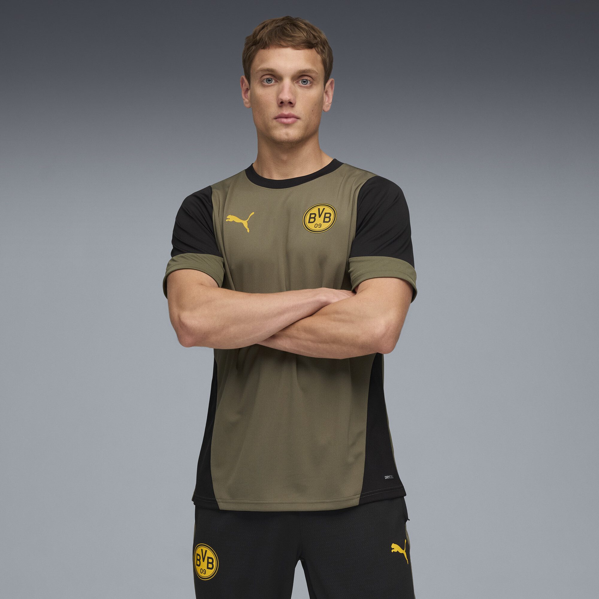 PUMA Trainingsshirt Borussia Dortmund Trainingstrikot Herren günstig online kaufen