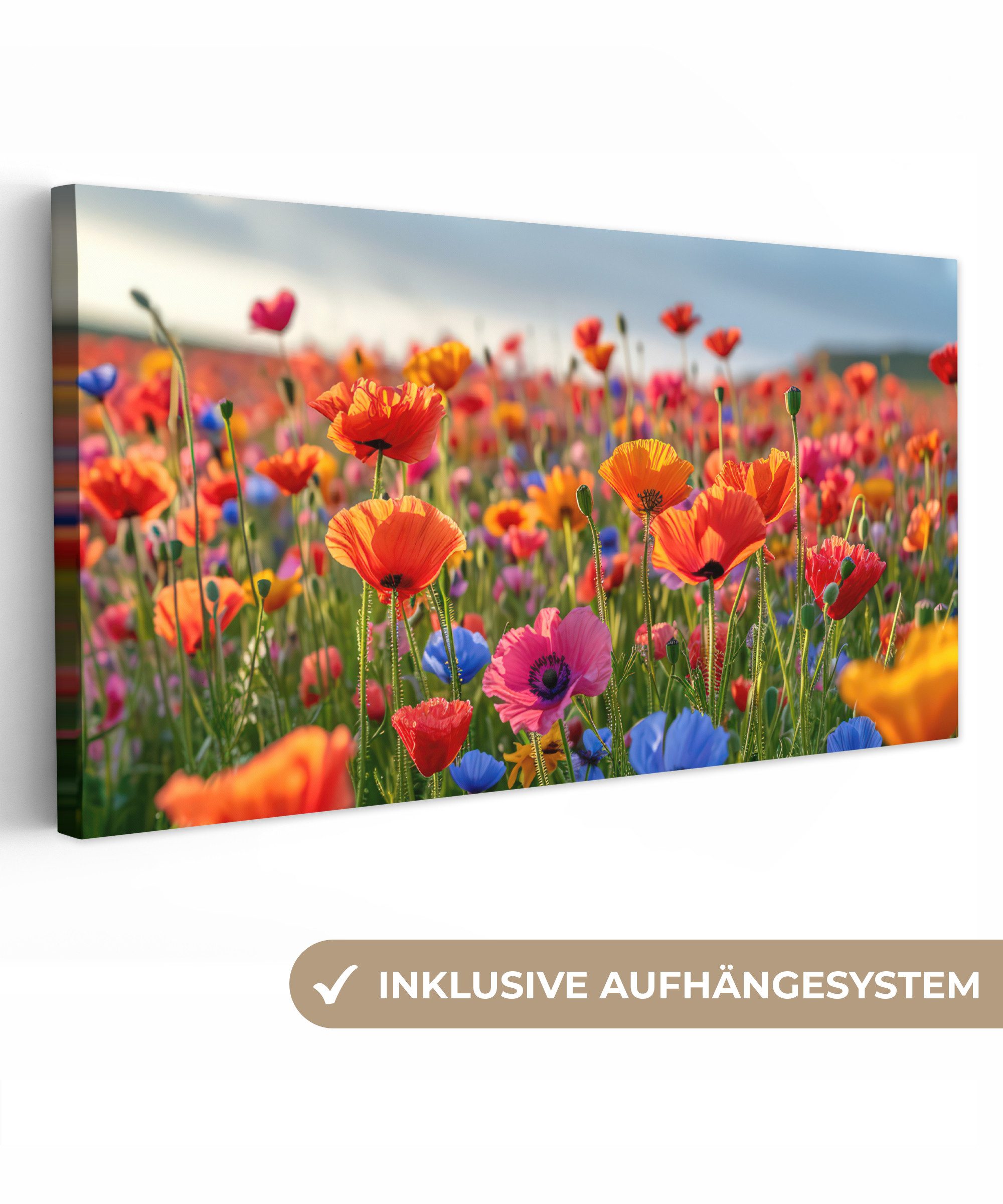 OneMillionCanvasses® Leinwandbild Panorama Blumen - Mohnblumen - Farbenfroh - Natur, Fotodruck (1 St), Wandbild, Deko Schlafzimmer Wohnzimmer Flur 40x20 cm