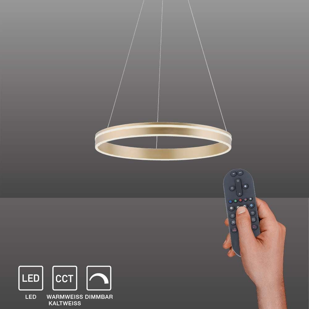 Paul Neuhaus Smarte LED-Leuchte LED Pendellampe CCT Q-Vito Ring, Smart Home, RGB+W-Farbregelung, Dimmfunktion, Memoryfunktion, mit Leuchtmittel, Pendelleuchte Ring Works with Alexa, Fernbedienung