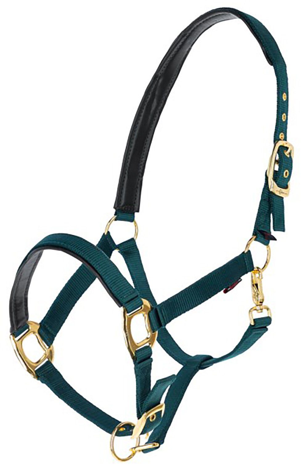 Kerbl Halfter Kerbl Halfter TopLine, forest, Full, 3224621