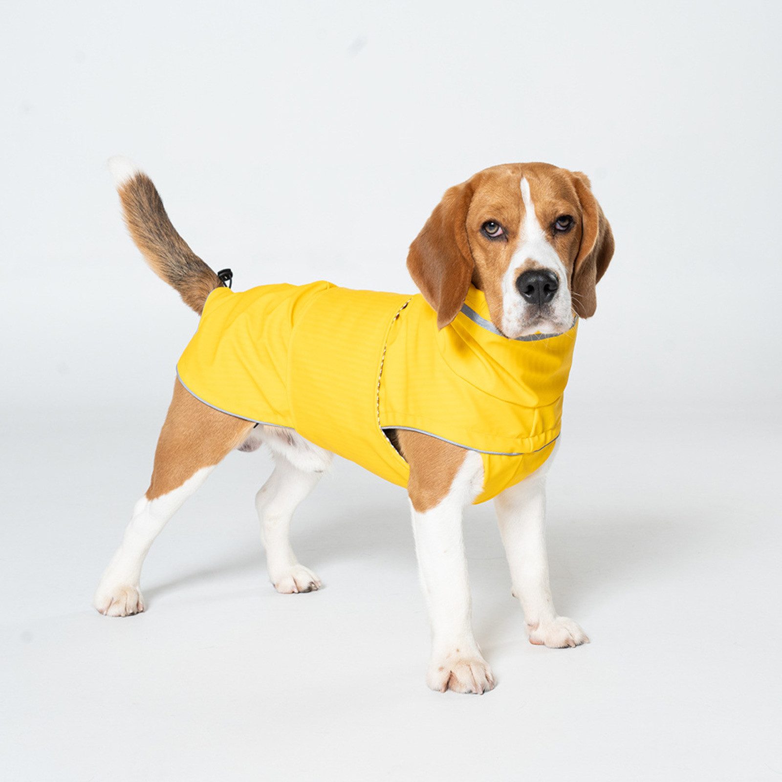 JASLIFE Hundemantel Rainy, wasserabweisend, reflektierend, verstellbar, mit Leinenöffnung