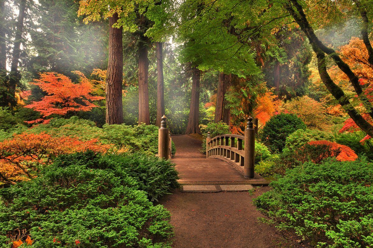 Papermoon Japanischer Garten Fototapete