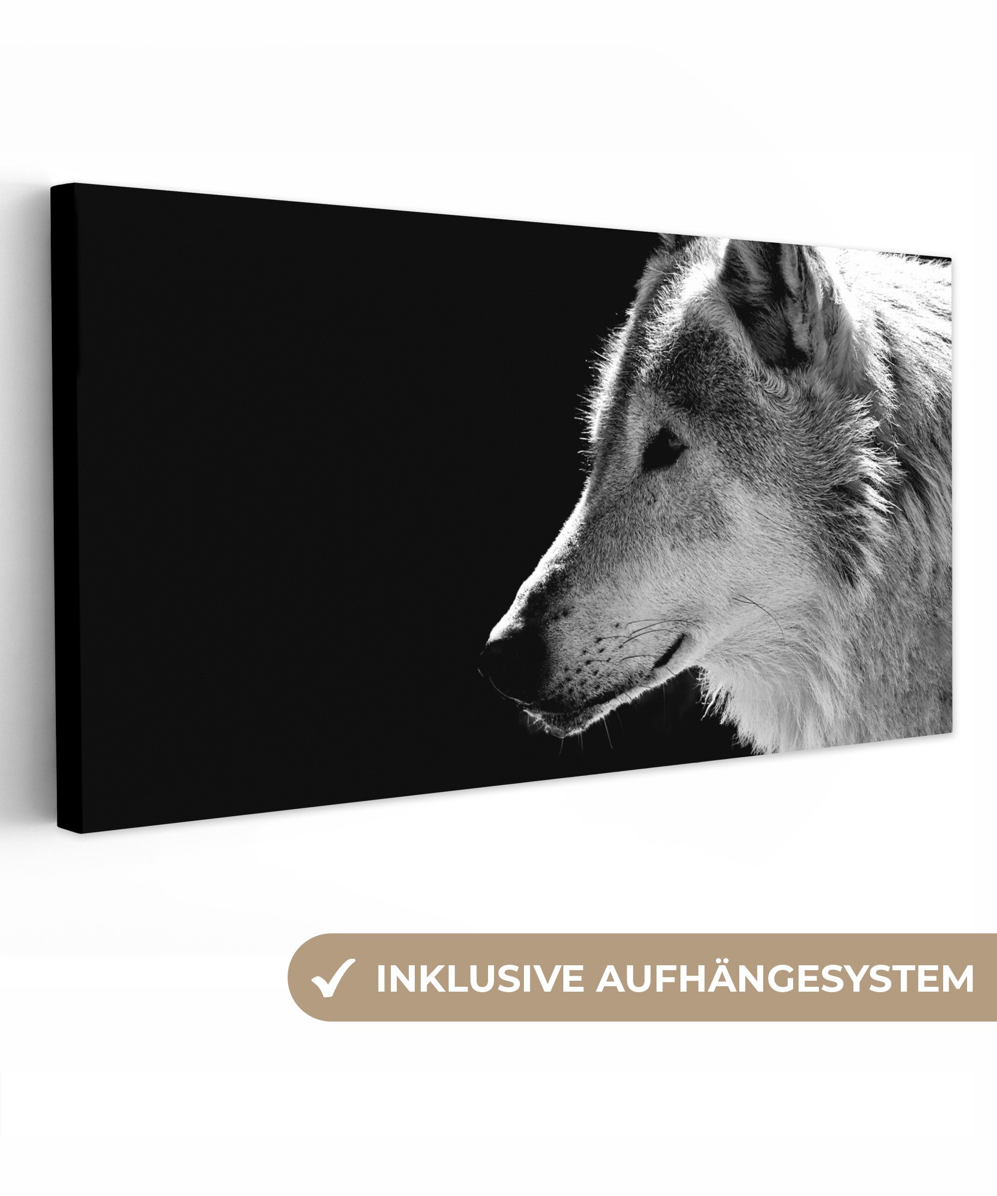 OneMillionCanvasses® Leinwandbild Panorama Wildlife - Wolf günstig online kaufen