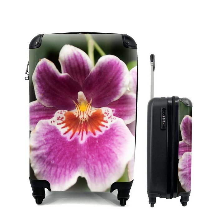 MuchoWow Handgepäckkoffer Wilde Orchidee 4 Rollen Reisetasche mit rollen Handgepäck für Ferien Trolley Reisekoffer