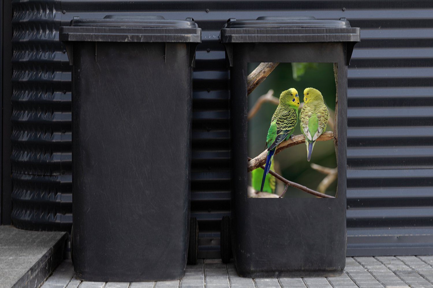 Abfalbehälter Mülltonne, St), Wandsticker Container, (1 MuchoWow Sittiche Sticker, Zwei in Mülleimer-aufkleber, einem Baum