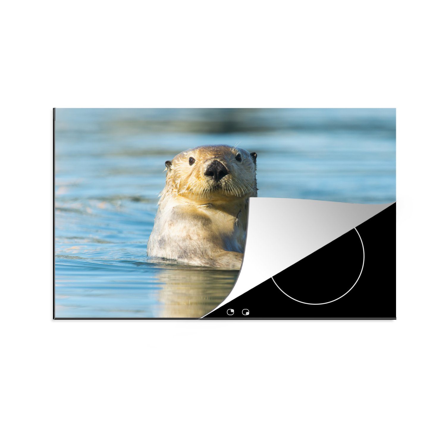 MuchoWow Herdblende-/Abdeckplatte Weißer Otter schwimmt, Vinyl, (1 tlg), 81x52 cm, Induktionskochfeld Schutz für die küche, Ceranfeldabdeckung