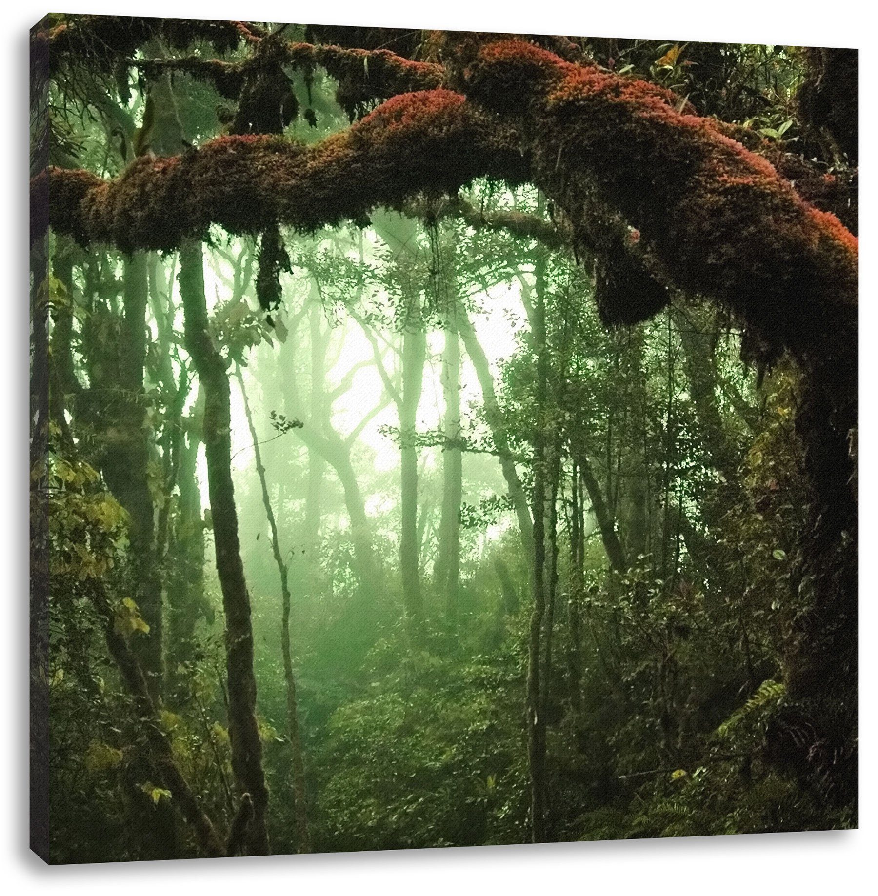 Regenwald, bespannt, Leinwandbild St), Leinwandbild Geheimnisvoller (1 Regenwald Pixxprint Geheimnisvoller fertig inkl. Zackenaufhänger