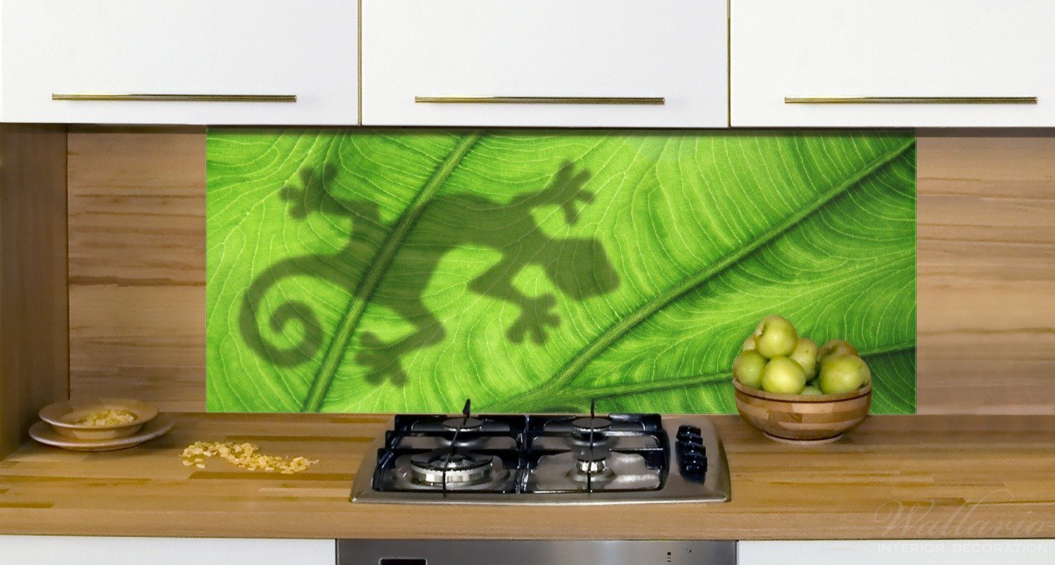 Wallario Umriss, Schatten - Küchenrückwand auf grünem Blatt (1-tlg) Gecko