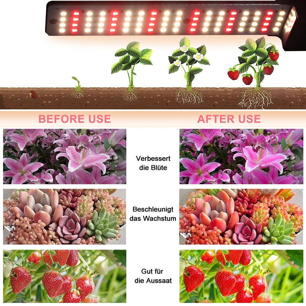 Sunicol LED Tischleuchte Schreibtischlampe mit Zimmerpflanzen, Gemüse 4/8/12H Digitaler 3 für Auto Wecker, Ladefunktion, Timer, USB-Drahtlose Lichter