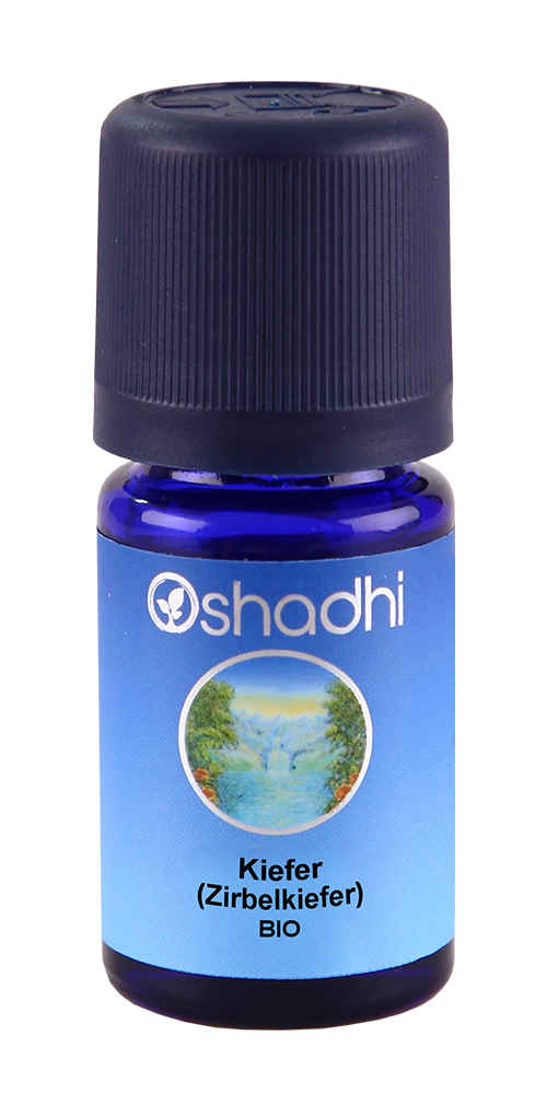 Oshadhi Duftöl Kiefer (Zirbelkieferöl) Bio – Ätherisches Öl