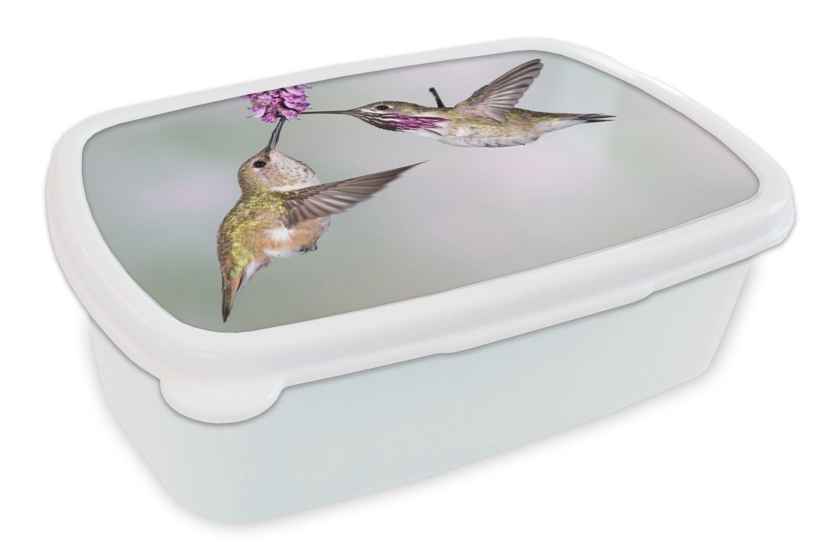 MuchoWow Lunchbox Kolibri - Vögel - Pflanze, Kunststoff, (2-tlg), Brotbox für Kinder und Erwachsene, Brotdose, für Jungs und Mädchen weiß