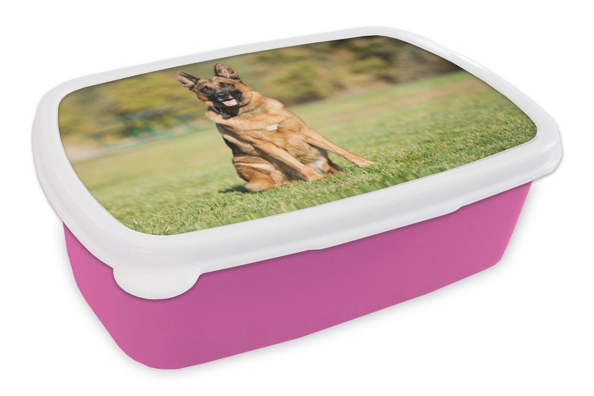 (2-tlg), MuchoWow rosa Snackbox, Kinder, sitzend, Erwachsene, Brotbox Schäferhund Mädchen, Lunchbox Kunststoff Deutscher Sonne in für der Kunststoff, Brotdose