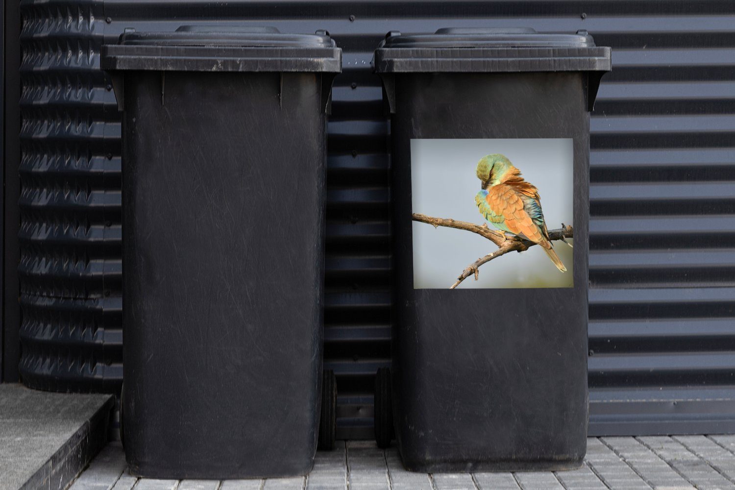 Sticker, amüsiert Container, einem Wandsticker MuchoWow Ast (1 St), auf Murmeltier sich Abfalbehälter Mülltonne, Mülleimer-aufkleber,