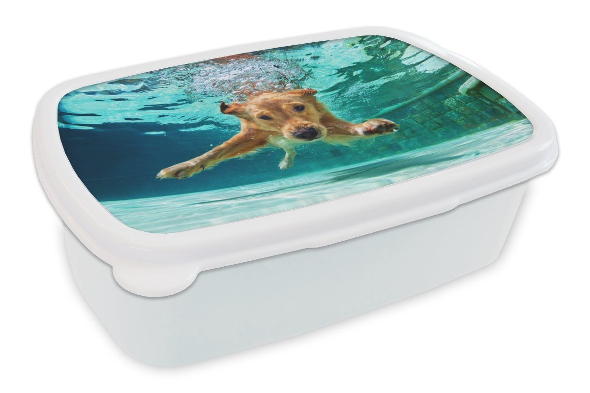 MuchoWow Lunchbox Pool - Hund - Wasser, Kunststoff, (2-tlg), Brotbox für Kinder und Erwachsene, Brotdose, für Jungs und Mädchen weiß
